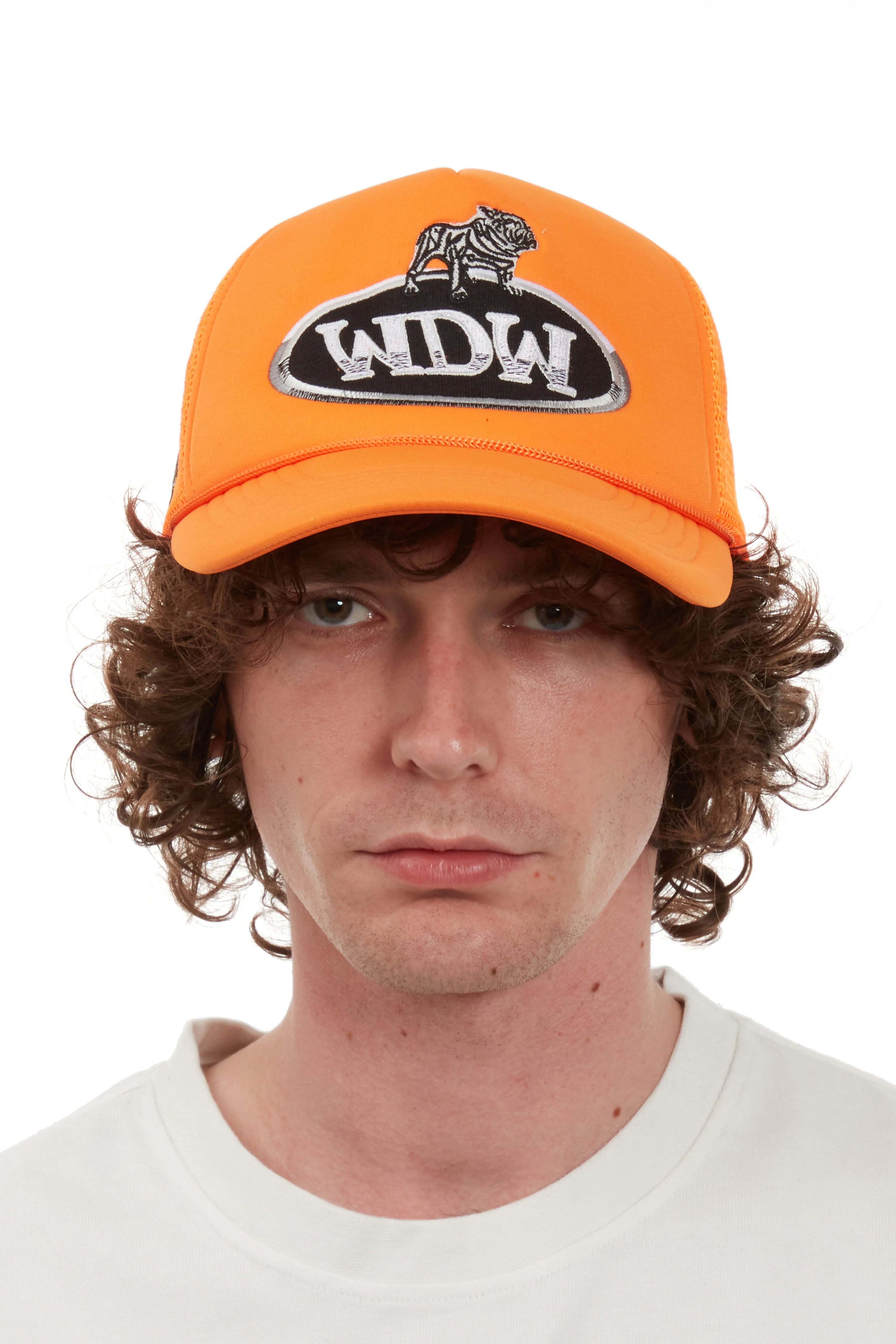 DALE TRUCKER - Image 2