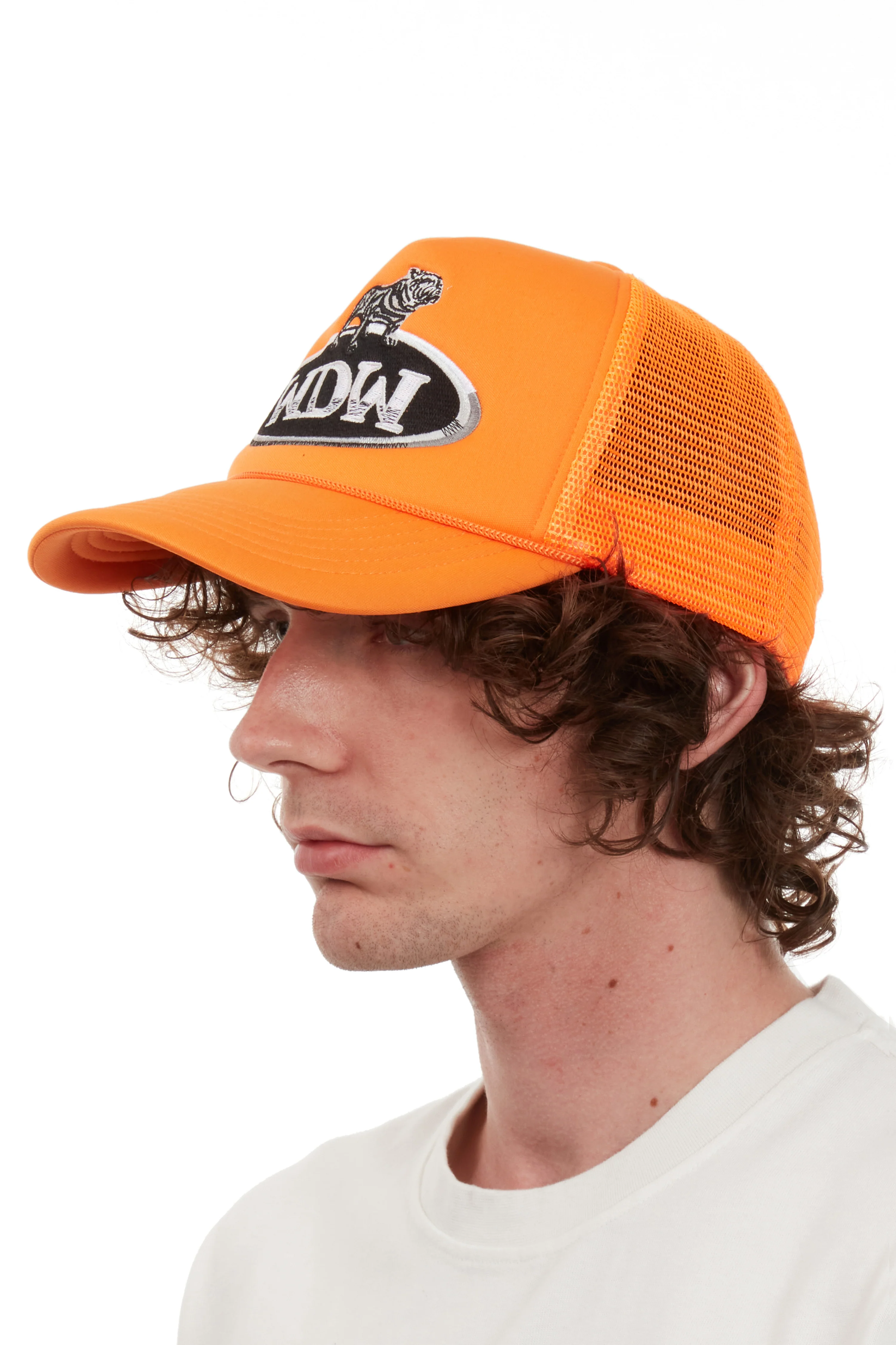 DALE TRUCKER - Image 3